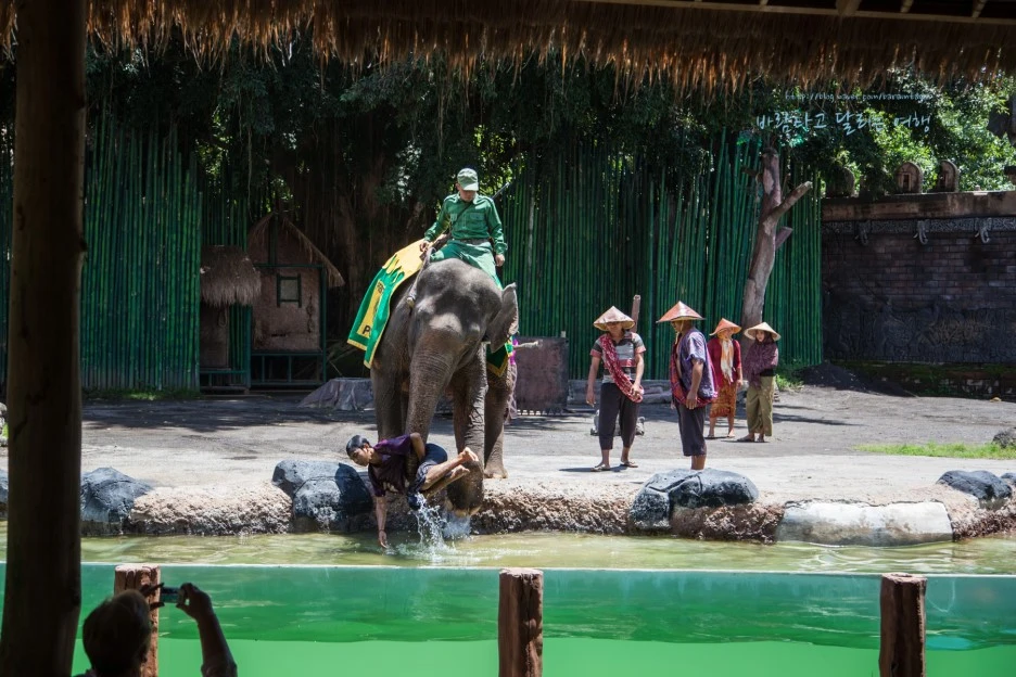 5D_IMG_2596_Short1200mark%EB%B0%94%EB%9E%8C.jpg?type=w1