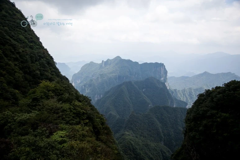 IMG_0318_Wide1080mark%EB%B0%94%EB%9E%8C.jpg?type=w773