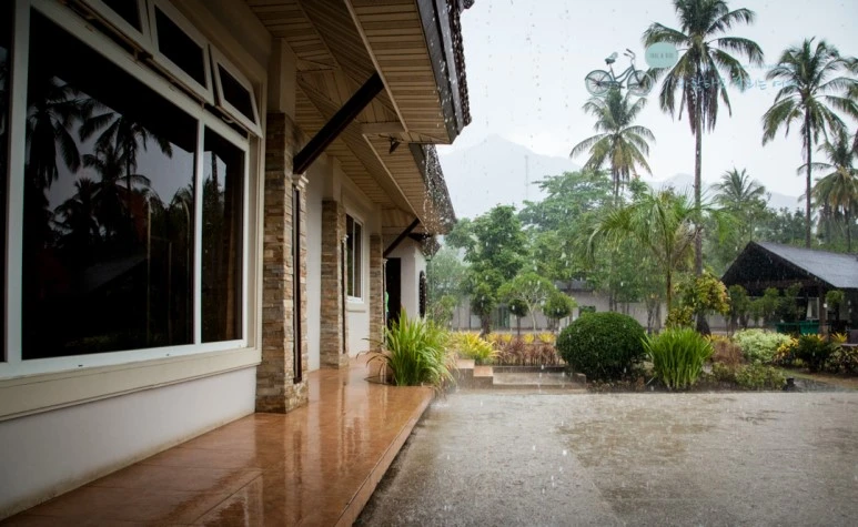 IMG_0371_Wide1080mark%EB%B0%94%EB%9E%8C%ED%83%80%EA%B3%A0.jpg?type=w773