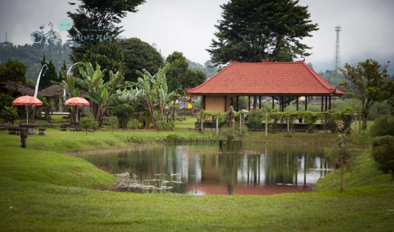 IMG_0387_Wide1080mark%EB%B0%94%EB%9E%8C%ED%83%80%EA%B3%A0-2.jpg?type=w773