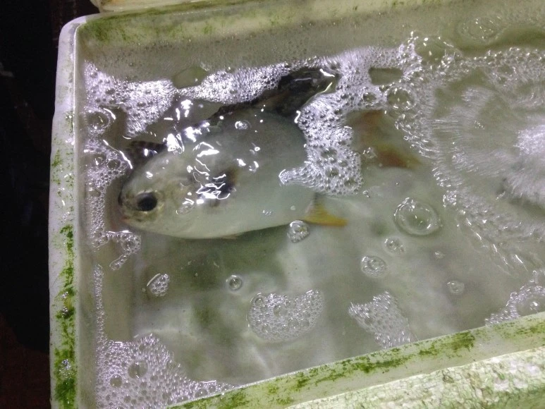 IMG_2724.JPG?type=w773