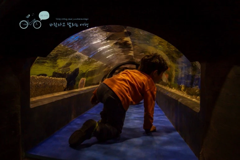 DSC00307_2.jpg?type=w773