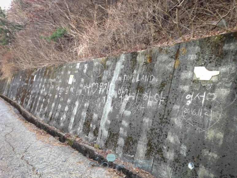 IMG_1232-_Wide1080mark%EB%B0%94%EB%9E%8C.jpg?type=w773