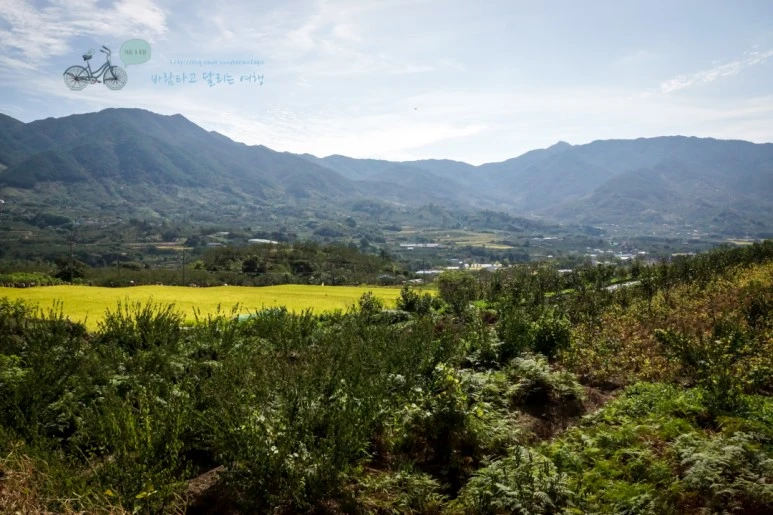 DSC04896_wide1080mark.jpg?type=w773