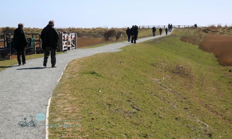 IMG_3735.jpg?type=w773