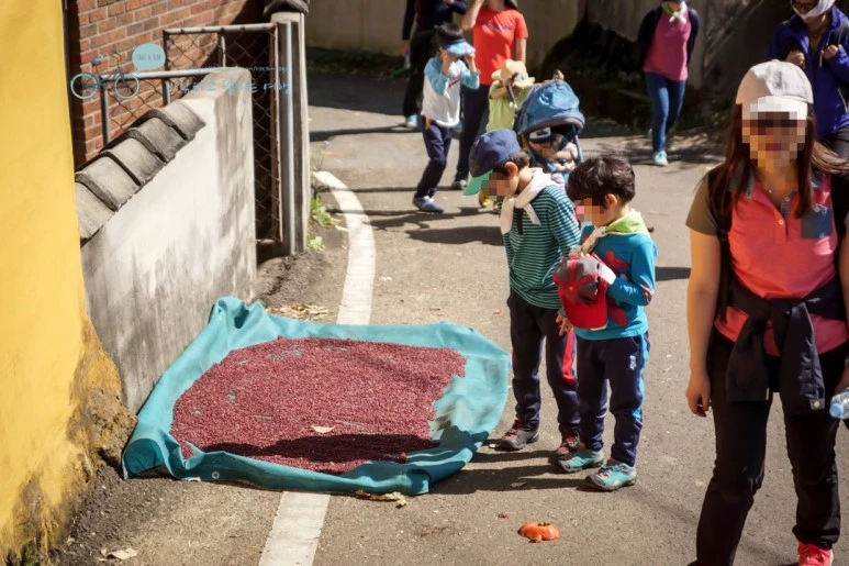 image_5522818841480290524511.jpg?type=w773