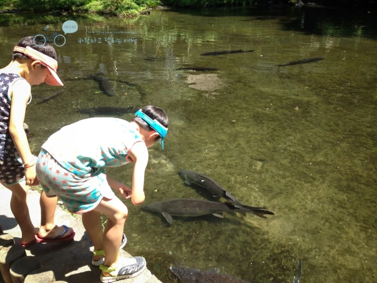 IMG_8095_wide1080mark.jpg?type=w773