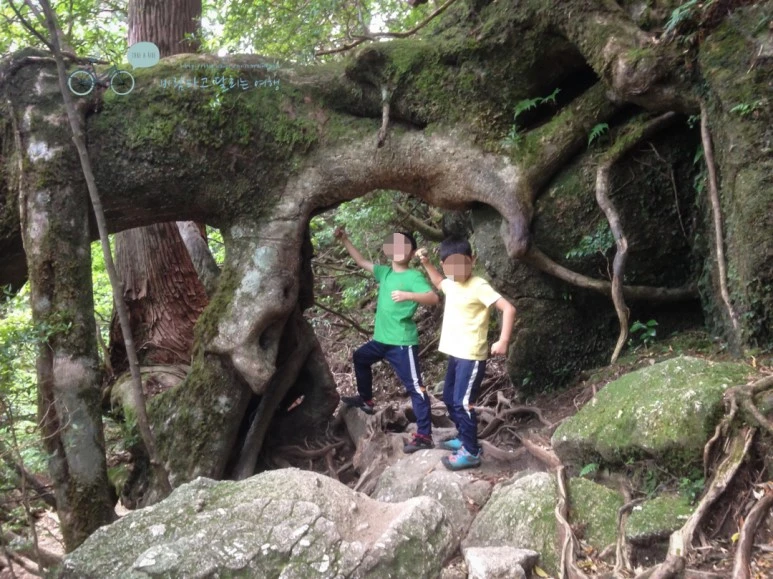 image_2394858791486446636510.jpg?type=w773