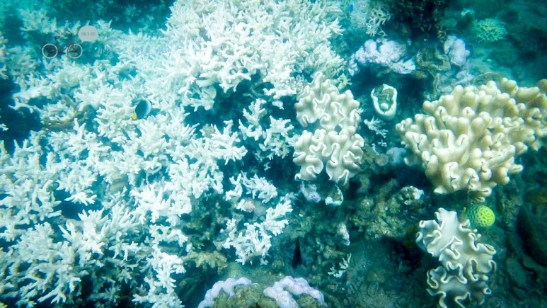 IMG_22_Wide1080mark%EB%B0%94%EB%9E%8C%ED%83%80%EA%B3%A0.jpg?type=w773