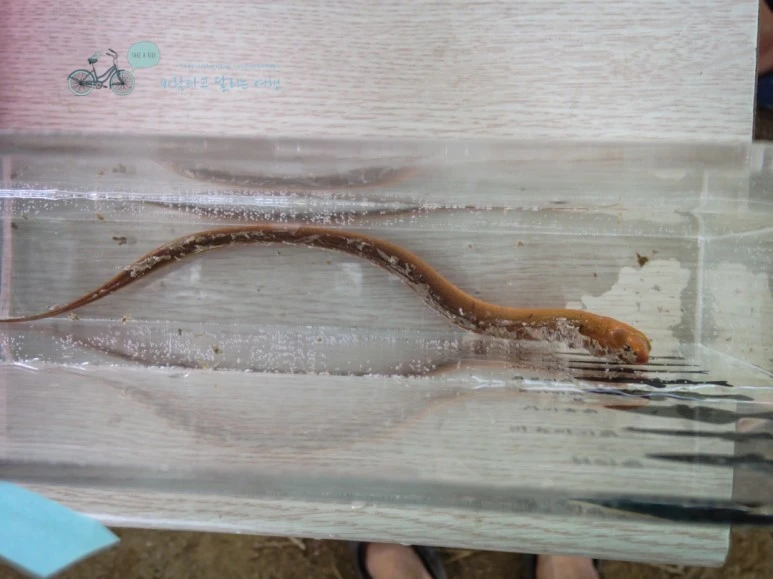 IMG_1029_wide1080mark.jpg?type=w773