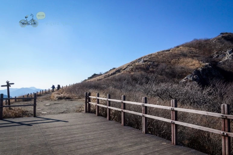 DSC04490_wide1080mark.jpg?type=w773