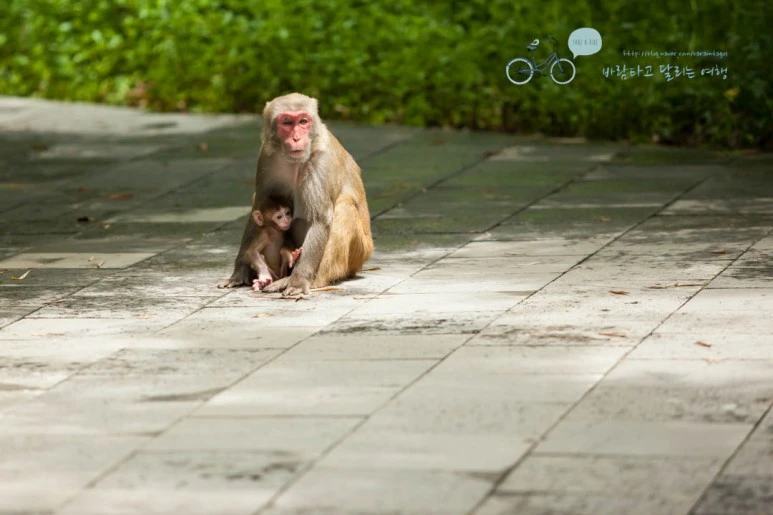 IMG_1484_wide1080%EB%B0%94%EB%9E%8Cmark.jpg?type=w773