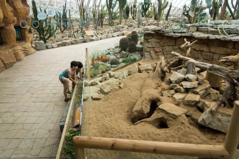 DSC03837_Wide1080.jpg?type=w773