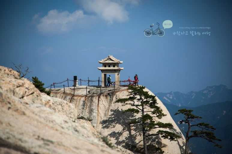 IMG_0291_Wide1080_mark%EB%B0%94%EB%9E%8C.jpg?type=w773