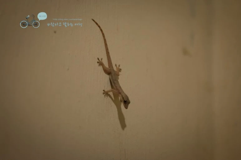 IMG_0252_Wide1080mark%EB%B0%94%EB%9E%8C%ED%83%80%EA%B3%A0-2.jpg?type=w773