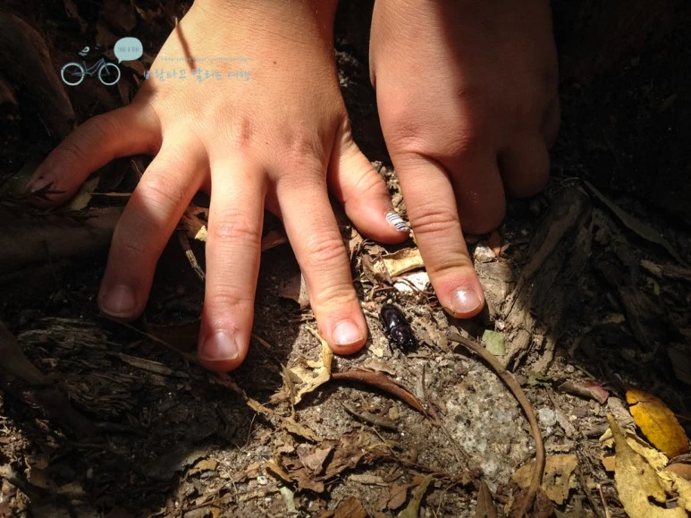 IMG_7992_wide1080mark.jpg?type=w773