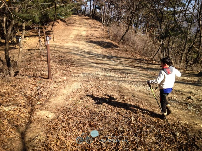 IMG_1569-_Wide1080mark.jpg?type=w773