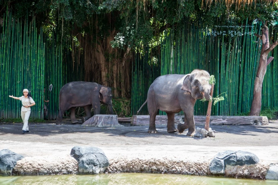 5D_IMG_2581_Short1200mark%EB%B0%94%EB%9E%8C.jpg?type=w1