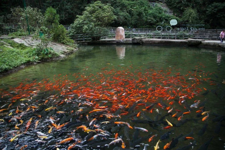 IMG_1466_Wide1080mark%EB%B0%94%EB%9E%8C.jpg?type=w773