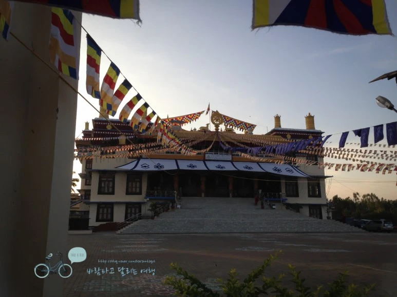 IMG_2804.jpg?type=w773