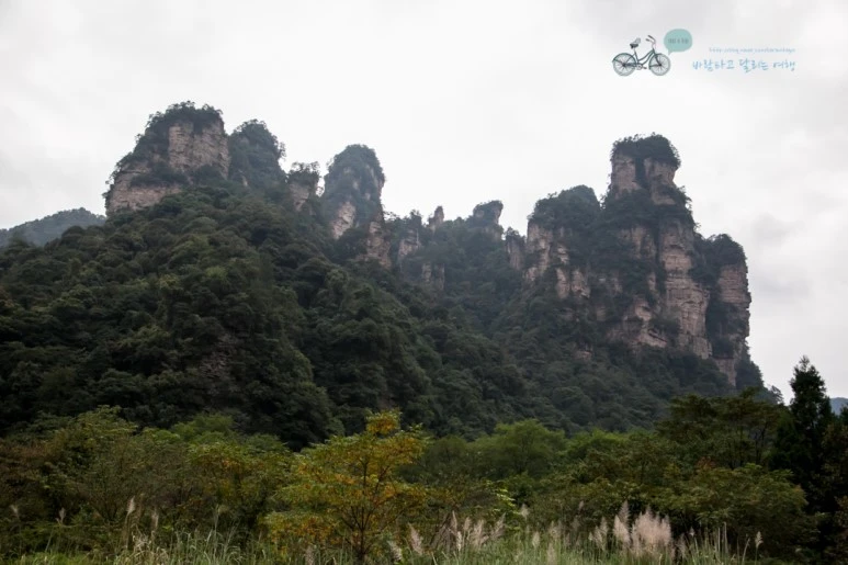 IMG_1059_Wide1080mark%EB%B0%94%EB%9E%8C.jpg?type=w773