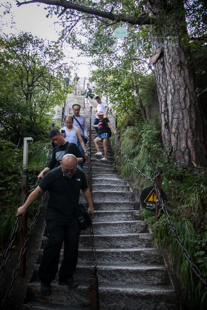 IMG_0341_Wide1080_mark%EB%B0%94%EB%9E%8C.jpg?type=w773