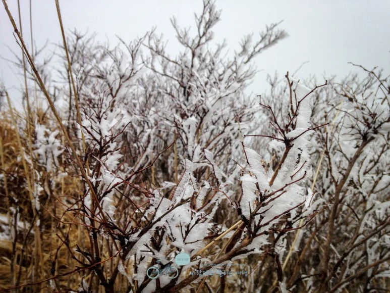 IMG_1922-_Wide1080mark.jpg?type=w773