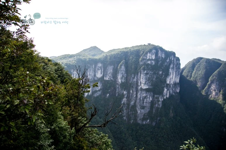 IMG_0170_Wide1080mark%EB%B0%94%EB%9E%8C.jpg?type=w773