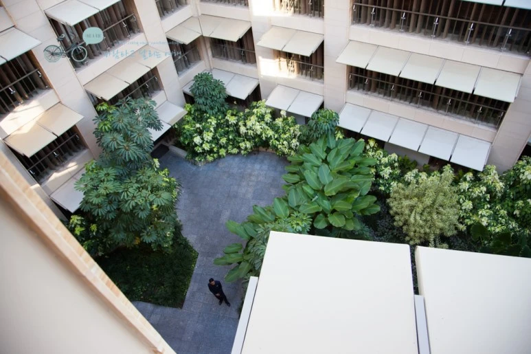 IMG_0405%EB%8D%94%EB%AC%BC%EB%A6%AC%EC%95%84_%EC%99%B8%EA%B4%80_Wide1080mark%EB%B0%94%EB%9E%8C%ED%83%80%EA%B3%A0.jpg?type=w773