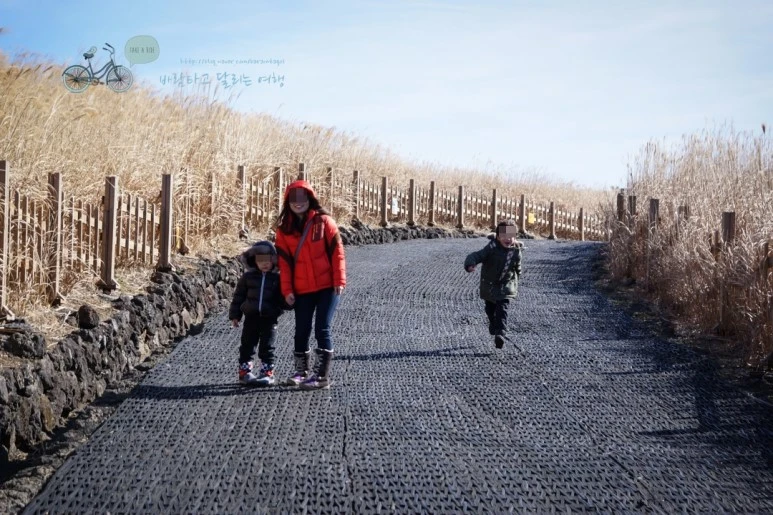 image_9081664591476684847834.jpg?type=w773