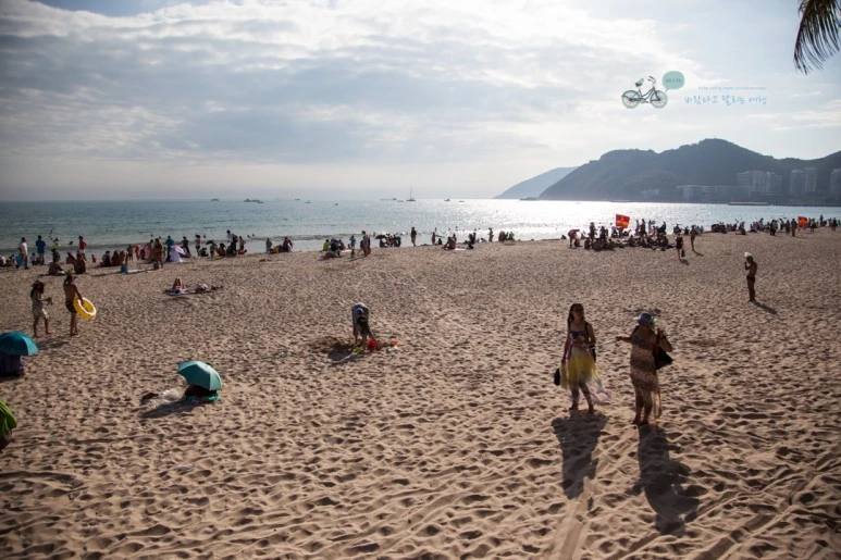 IMG_1012_Wide1080mark%EB%B0%94%EB%9E%8C.jpg?type=w773