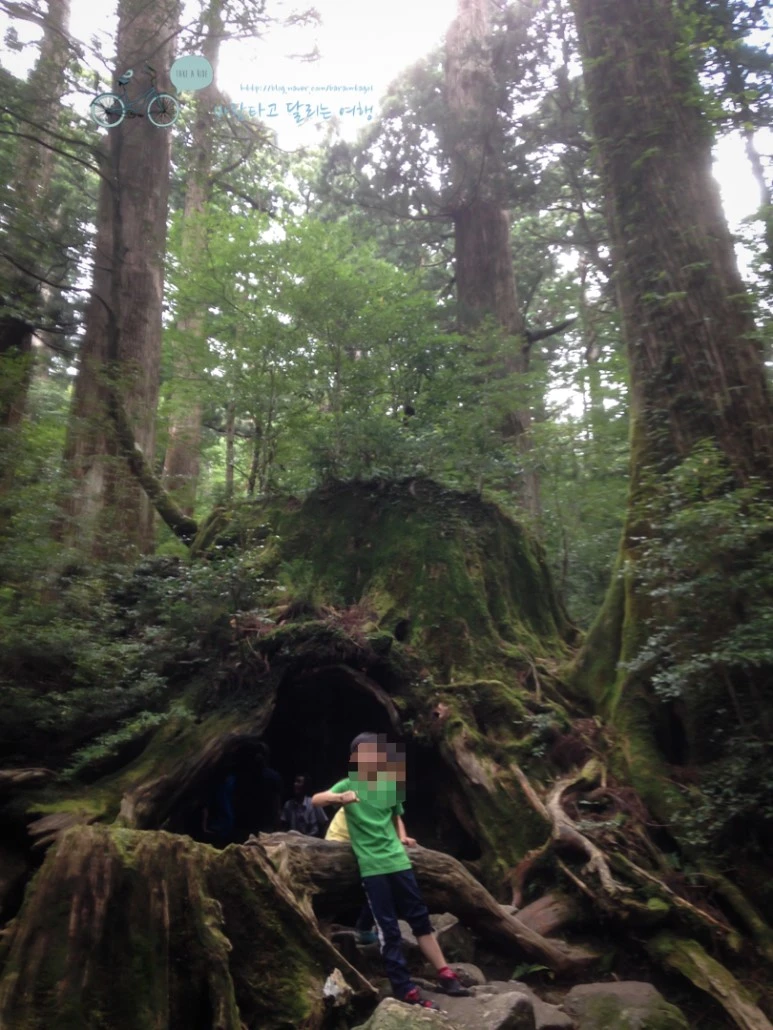 image_6486913961486448000124.jpg?type=w773