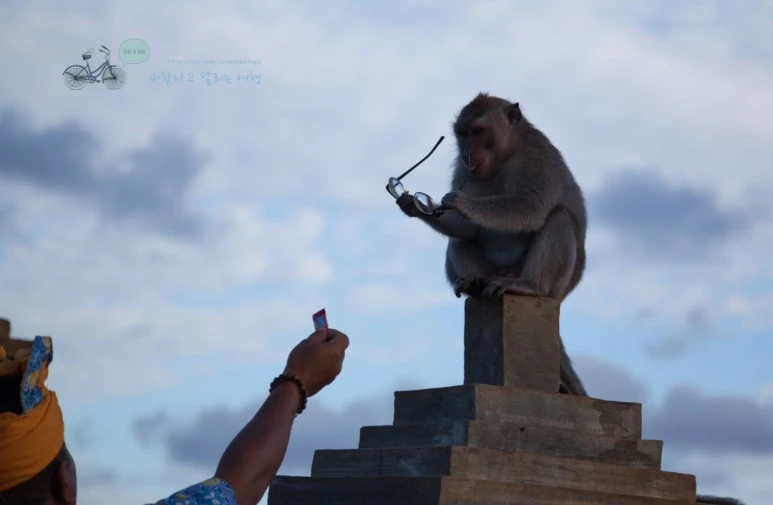 IMG_0642_Wide1080mark%EB%B0%94%EB%9E%8C%ED%83%80%EA%B3%A0.jpg?type=w773