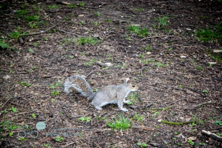 IMG_3024.jpg?type=w773