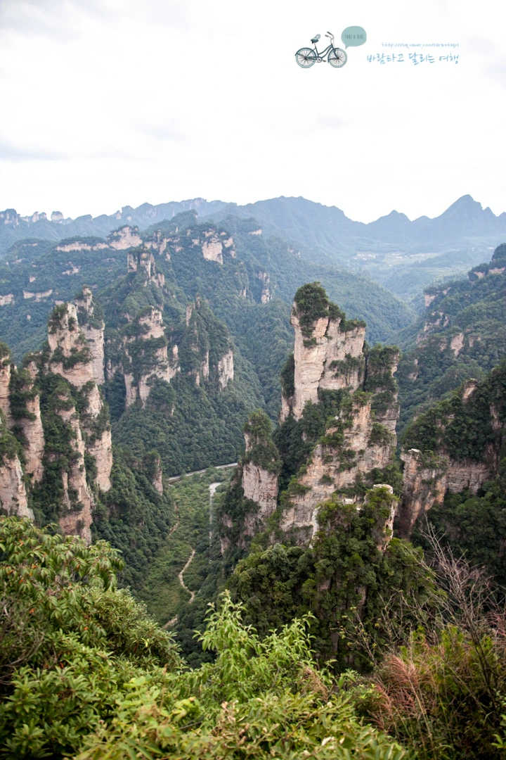 IMG_1333_Wide1080mark%EB%B0%94%EB%9E%8C.jpg?type=w773