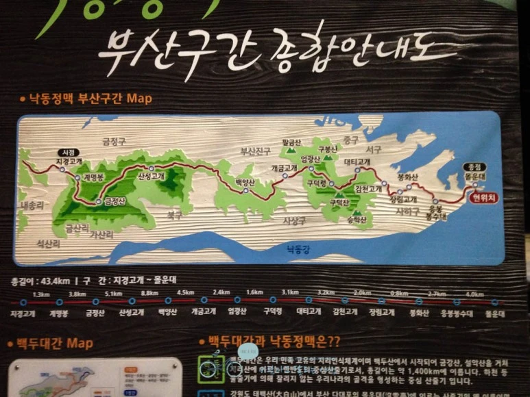 IMG_1115-_Wide1080mark%EB%B0%94%EB%9E%8C.jpg?type=w773