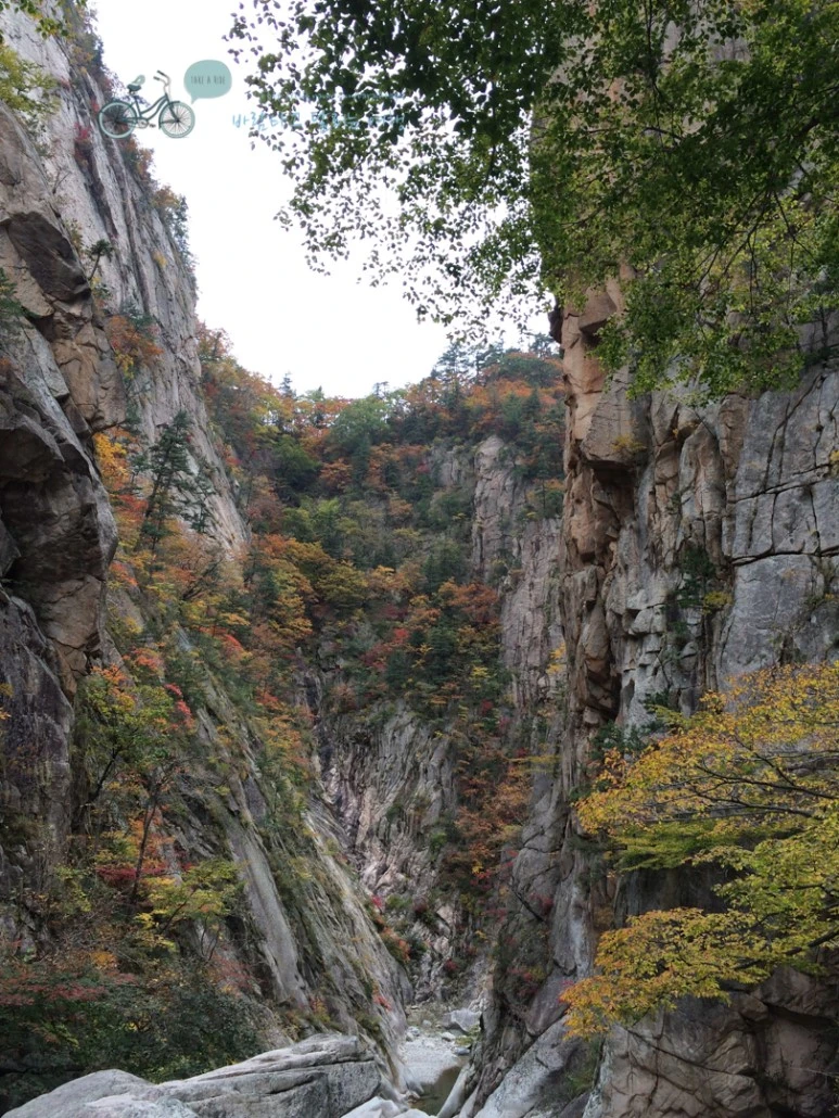 IMG_0464_wide1080mark.jpg?type=w773