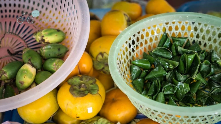 _1020573_Edit_Wide1080mark_%EB%B0%94%EB%9E%8C.jpg?type=w773