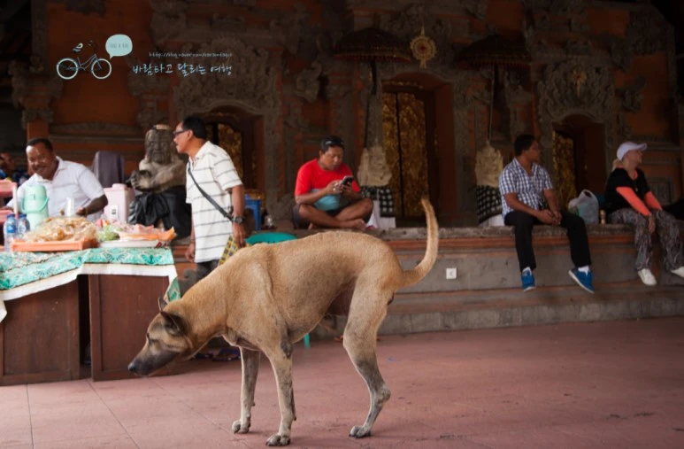 IMG_0320%EC%9A%B0%EB%B6%93%EC%99%95%EA%B6%81%EC%95%9E_%EB%A7%88%EC%9D%84%ED%9A%8C%EA%B4%80_Wide1080mark%EB%B0%94%EB%9E%8C%ED%83%80%EA%B3%A0.jpg?type=w773