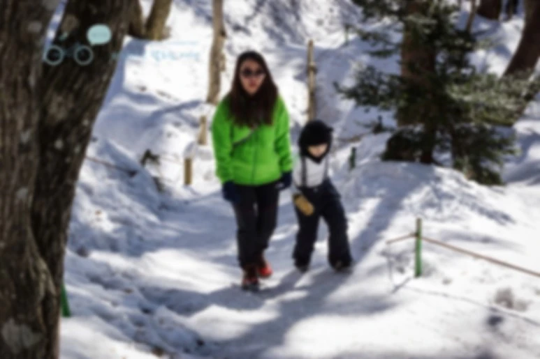 image_3509330041476755427860.jpg?type=w773