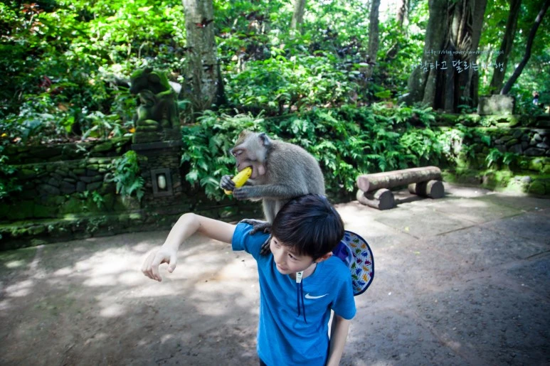 5D_IMG_1740_Short1200mark%EB%B0%94%EB%9E%8C.jpg?type=w773