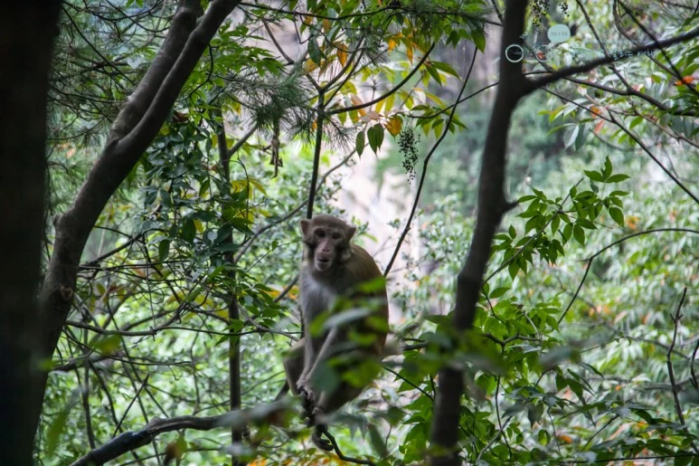 IMG_1282_Wide1080mark%EB%B0%94%EB%9E%8C.jpg?type=w773