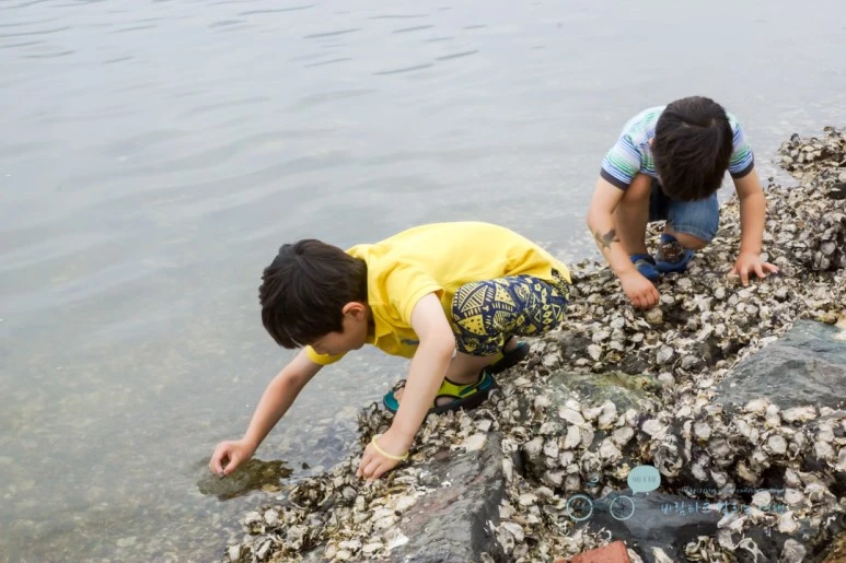 DSC01088_wide1080mark.jpg?type=w773