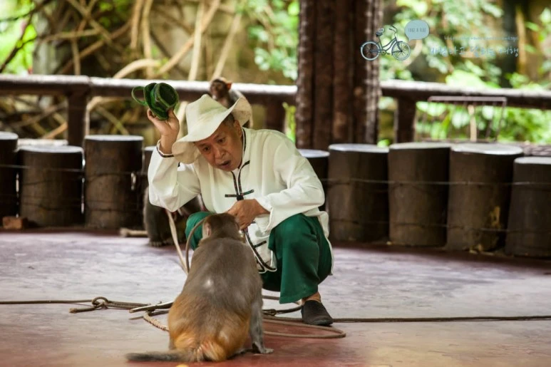 IMG_1454_wide1080%EB%B0%94%EB%9E%8Cmark.jpg?type=w773