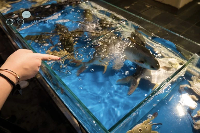 image_8865163671503031278749.jpg?type=w773