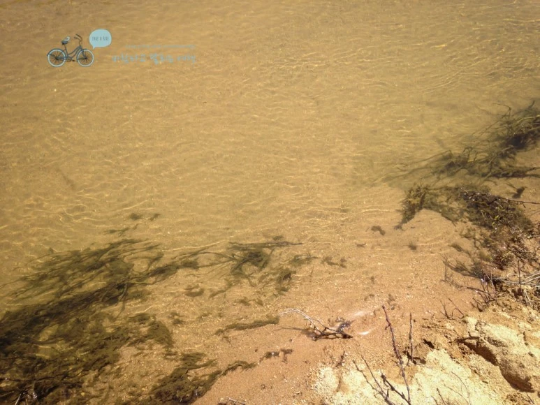 IMG_0521_Wide1080mark.jpg?type=w773