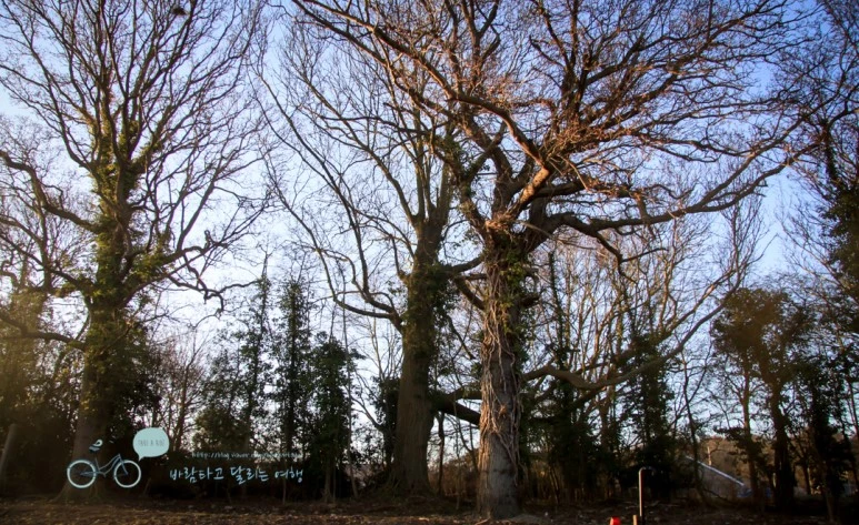 IMG_3450.jpg?type=w773