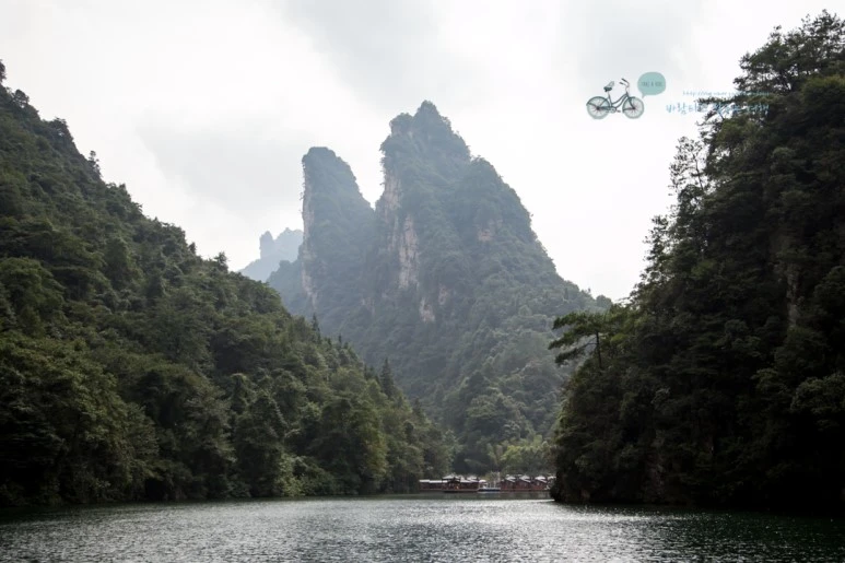 IMG_1403_Wide1080mark%EB%B0%94%EB%9E%8C.jpg?type=w773