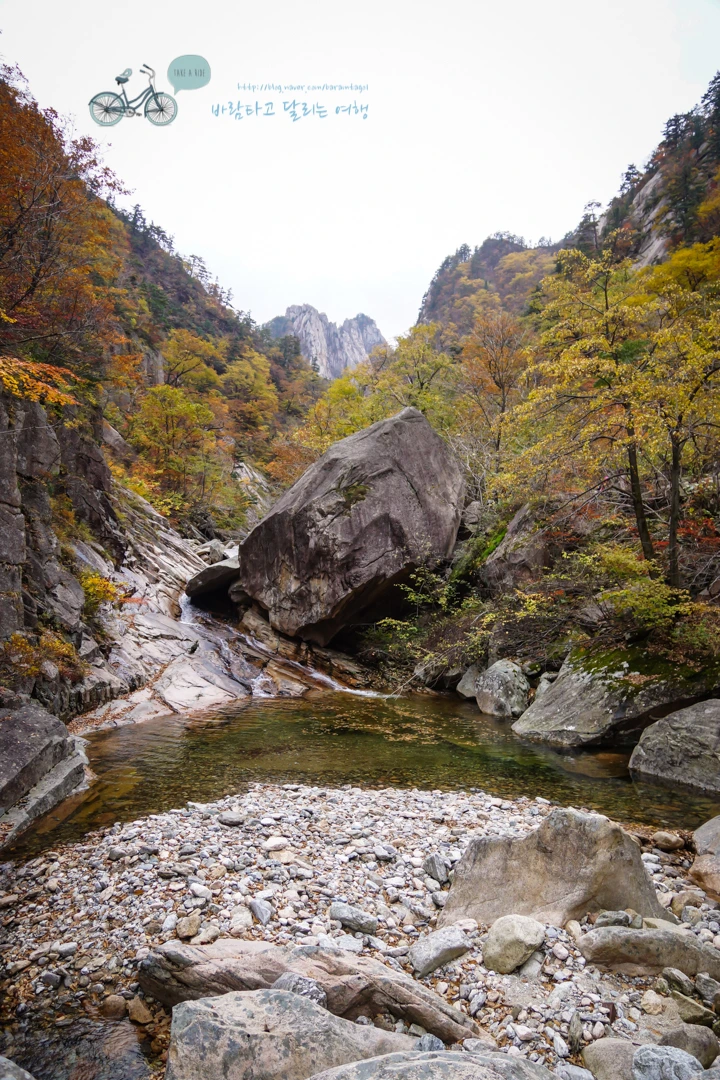 DSC05620_wide1080mark.jpg?type=w773