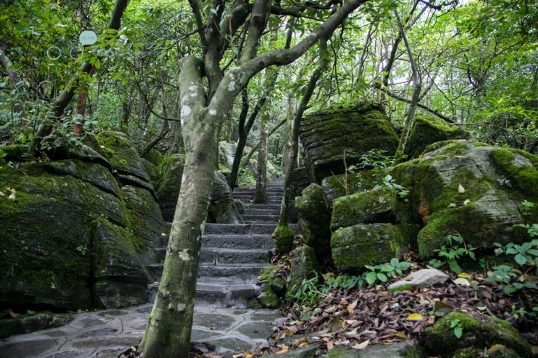 IMG_0376_Wide1080mark%EB%B0%94%EB%9E%8C.jpg?type=w773